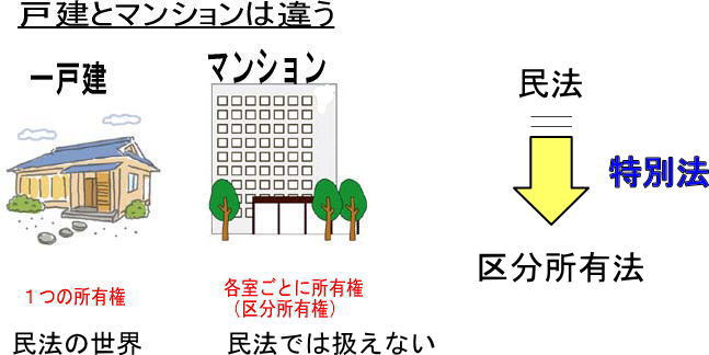 区分所有建物の管理と法律/商事法務/区分所有建物管理問題研究会